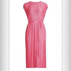 Hugo Boss Women’s Small Pleated Pink Midi Dress NWOT